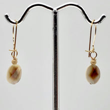 Load image into Gallery viewer, Faceted Tahitian MoP Shell 14K Gold Filled Earrings with Gold Bead |1 Inch Drop|