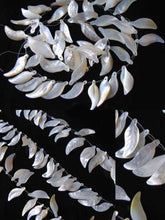 Load image into Gallery viewer, 6 Carved Mother of Pearl Shell Leaf Briolette Beads 10210 - PremiumBead Primary Image 1