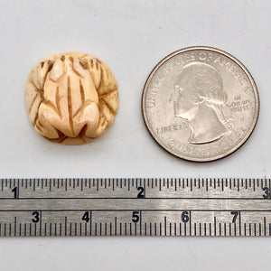 Poised Hand Carved Frog on Lily Pad Bone Bead | 1 Bead | 19x8mm | 7550 - PremiumBead Alternate Image 5