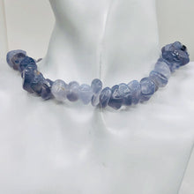 Load image into Gallery viewer, Oregon Holly Blue Chalcedony Agate 89 Grams Nugget Strand| 12x6 16x10 | 53 Bead|