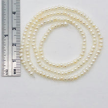 Load image into Gallery viewer, Tiny Seed Pearls Strand Round | 2 mm | White | 180 Bead