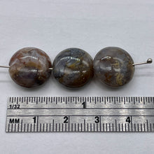 Load image into Gallery viewer, 3 Natural Crazy Lace Pietersite 14x7mm Coin Beads 9683