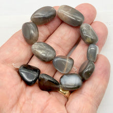 Load image into Gallery viewer, Grey Moonstone Bead Strand | 23x13x8mm to 18x11x9mm | Grey | 19 to 24 Strand