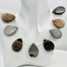 Load image into Gallery viewer, hot-dendritic-jasper-briolette-pendant-bead-strand-33x25x5mm-13-beads Alternate Image 3