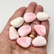 Load image into Gallery viewer, Conch Shell. Pear Shaped | 22x18x6 to 30x20x9mm | Pink White | 2 Bead(s) |