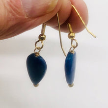 Load image into Gallery viewer, Lapis Lazuli and14K Gold Filled Earrings | 1 5/8" (Long) | Blue | 1 Pair |