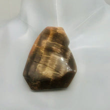 Load image into Gallery viewer, Cracked Fossilized Wood Flat Briolette | 48x40x7mm| Tan/Black| 1 Pendant Bead|