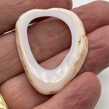 Load image into Gallery viewer, 1 Pink Conch Shell 37x36mm to 45x43mm Picture Frame Bead 9831
