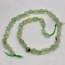 Load image into Gallery viewer, Rare Prehnite W/Epidote Needles Bead 13" Strand | 9x8x7 to 7x6x6mm | 46 Beads |