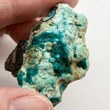 Load image into Gallery viewer, Stunning Dioptase on Chrysocolla Display Specimen 10670B - PremiumBead Alternate Image 6