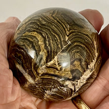 Load image into Gallery viewer, Stromatolite Scry Crystal Round Meditation Sphere | 50mm | Bronze/Black | 1 |