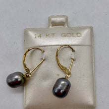 Load image into Gallery viewer, South Sea Pearl 14k Gold Lever Back Drop Earrings | 1" Long | Gray | 1 Pair |