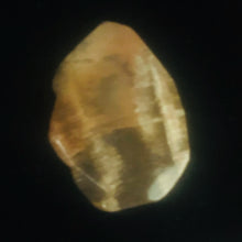 Load image into Gallery viewer, Fossilized Wood Irregular Flat Briolette| 47x40x7mm|Orange/Black| 1 Pendant Bead