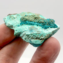 Load image into Gallery viewer, Stunning Dioptase on Chrysocolla Display Specimen | 2.25x1.5x.75" | Green | - PremiumBead Alternate Image 4