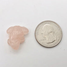 Load image into Gallery viewer, Rose Quartz 2 Hand Carved Frog Beads | 20.5x19x9.5mm | Pink - PremiumBead Alternate Image 3