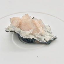 Load image into Gallery viewer, Pink Stilbite Crystals on bed of Apophyllite Collecter's Specimen | 55x48x22mm - PremiumBead Alternate Image 7