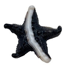 Load image into Gallery viewer, Stunning! Carved Sardonyx Starfish Pendant Bead | 61x56x9.5mm |