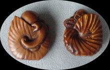 Load image into Gallery viewer, 1 intricate Nautilus & Octopus Boxwood Ojime/Netsuke Bead - PremiumBead Alternate Image 3