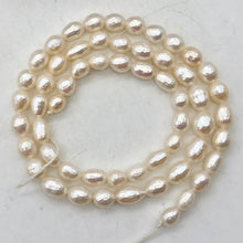 Load image into Gallery viewer, 7 Stunning Faceted 8x6mm to 5x7mm Pearls 000650 - PremiumBead Alternate Image 5