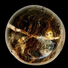 Load image into Gallery viewer, Stromatolite Scry Crystal Round Meditation Sphere | 45mm | Bronze/Black | 1 |