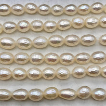 Load image into Gallery viewer, 7 Stunning Faceted 8x6mm to 5x7mm Pearls 000650 - PremiumBead Alternate Image 4