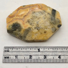 Load image into Gallery viewer, Crazy Lace Agate Carved Pendant Bead | 40x29x8mm | Red Gray |