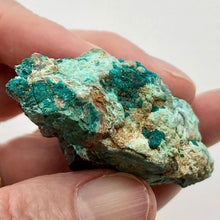 Load image into Gallery viewer, Stunning Dioptase on Chrysocolla Display Specimen 10670B - PremiumBead Alternate Image 3