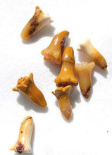 Load image into Gallery viewer, 2 Carved Mookaite Trumpet Flower Bead 8919B - PremiumBead Primary Image 1