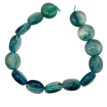 Load image into Gallery viewer, Rare Gem Quality Natural Blue Fluorite 15x8mm Coin 8 Inch Strand | 13 Beads |