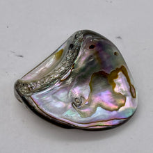 Load image into Gallery viewer, Abalone Hinge Shell | 1 Pendant Bead |