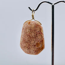 Load image into Gallery viewer, Fossilized Coral 14K Gold Filled Wire Wrap Pendant Pre-Cambrian Era | 1 5/8" |