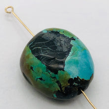 Load image into Gallery viewer, Genuine Natural Turquoise Nugget Focus Master 31cts| 21x18x10mm | Blue Black|1|
