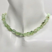Load image into Gallery viewer, Rare Prehnite W/Epidote Needles Bead 13" Strand | 9x8x7 to 7x6x6mm | 46 Beads |