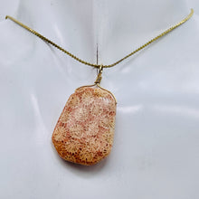 Load image into Gallery viewer, Fossilized Coral 14K Gold Filled Wire Wrap Pendant Pre-Cambrian Era | 1 5/8&quot; |
