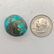 Load image into Gallery viewer, 1 Bead of Gorgeous Natural USA Turquoise Pebble 8342 - PremiumBead Alternate Image 7