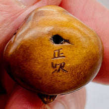 Load image into Gallery viewer, Carved Boxwood Turtle Man w/ Clam Ojime/Netsuke Bead