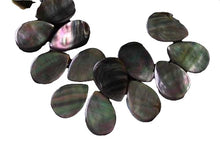 Load image into Gallery viewer, Tahitian Mother of Pearl Shell Briolette Bead Strand 109911