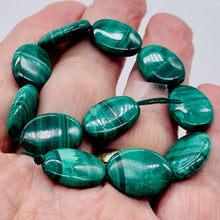 Load image into Gallery viewer, Exquisite Patterned Natural Malachite Oval Coin Bead 7.75 inch Strand 10249HS