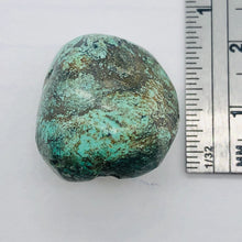 Load image into Gallery viewer, Genuine Natural Turquoise Focus or Master Bead| 49cts| 22x20x16| Blue Brown | 1|
