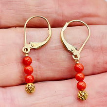 Load image into Gallery viewer, AAA Natural Ox Blood Red Coral Solid 14K Gold Earrings 302904C