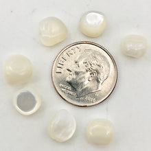 Load image into Gallery viewer, 7 Natural Mother of Pearl Shell Nugget Beads 4376