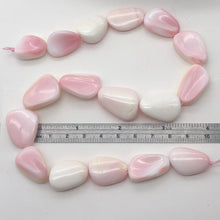 Load image into Gallery viewer, Conch Shell. Pear Shaped | 27x19x8 to 28x22x9 | Pink White | 14 to 17 Bead(s)