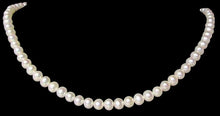 Load image into Gallery viewer, Eleven Pearls of Perfect Round Wedding White 6-5.5mm FW Pearls 4504