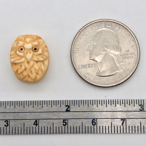 Pair of Wise Owl Carved Beads | 2 Beads | 16x13x5mm | 8625 - PremiumBead Alternate Image 6