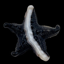 Load image into Gallery viewer, Stunning! Carved Sardonyx Starfish Pendant Bead | 61x56x9.5mm |