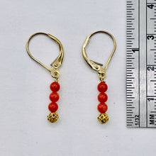 Load image into Gallery viewer, AAA Natural Ox Blood Red Coral Solid 14K Gold Earrings 302904C