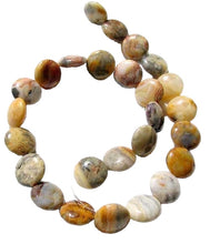 Load image into Gallery viewer, Intricate Crazy Lace Agate Coin Bead Strand 108969
