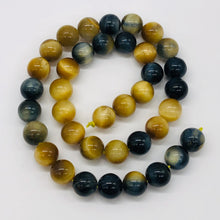 Load image into Gallery viewer, HawkeyeTigereye 16" Strand Round | 10 mm | Blue/Golden Brown | 38 Beads |
