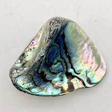 Load image into Gallery viewer, One! Natural Abalone Fan Shaped Pendant 45x35mm Bead - PremiumBead Primary Image 1
