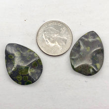 Load image into Gallery viewer, 1 Peridot Jasper Wavy Briolette Pendant Bead 006700